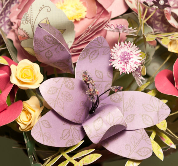 Purple paper lily