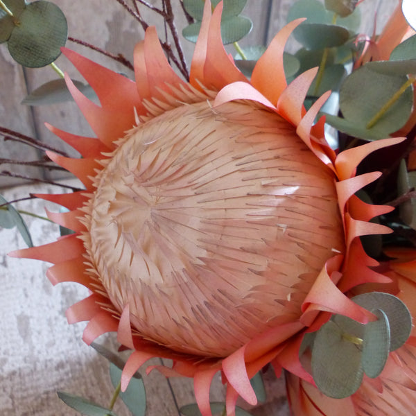 peach coral paper flowers king protea