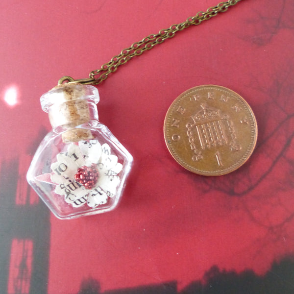 Hexagon bottle necklace by penny for scale