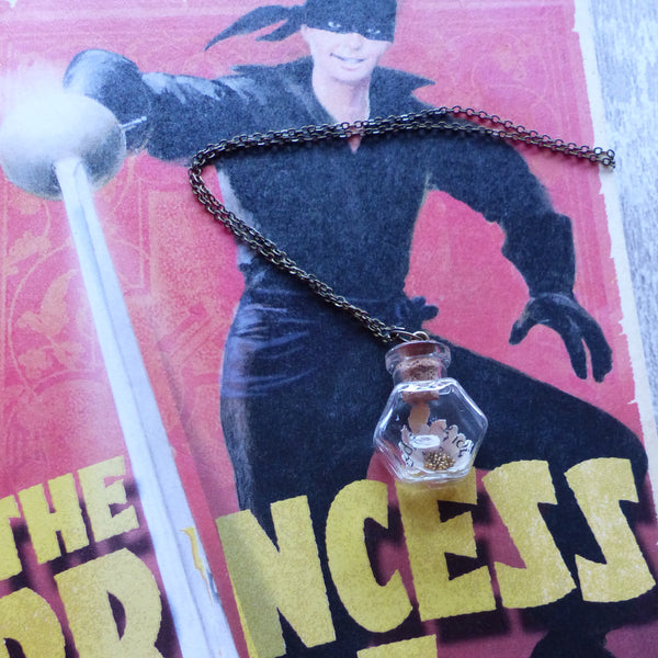 The Princess Bride daisy in hexagon bottle necklace